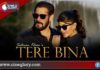 Tere Bina Lyrics Salman Khan