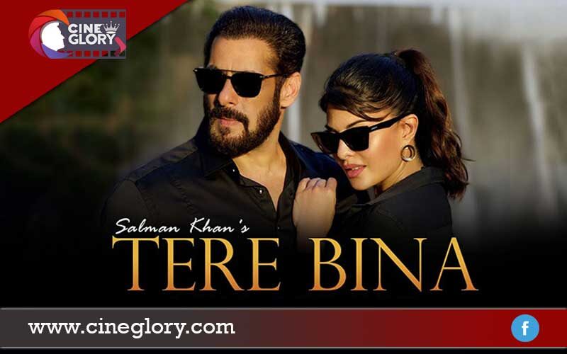 Tere Bina Lyrics – Salman Khan | तेरे बिना  लिरिक्स